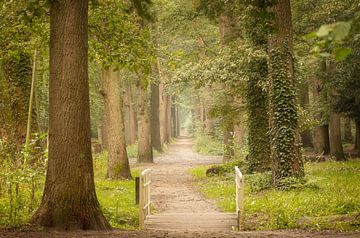 Waldweg mit Brücke von KB Design & Photography (Karen Brouwer)