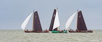 Skûtsjes auf dem IJsselmeer_04