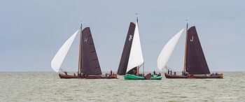Skûtsjes auf dem IJsselmeer_04