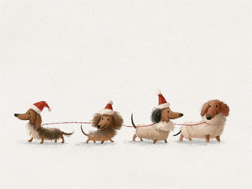 Christmas Dachshund – Gait