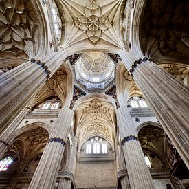 Plafonds Kathedraal van Salamanca van Jan Maur