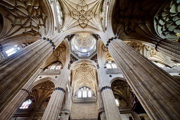 Plafonds Kathedraal van Salamanca van Jan Maur