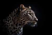 Leopard Portrait Black Background