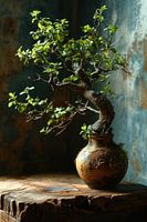 Een bonsai boom als stilleven op een oude houten tafel in Japan