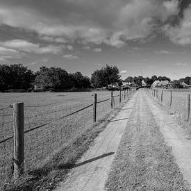 Landweg naar Niehove – tijdloze rust in zwart-wit van KB Design & Photography (Karen Brouwer)
