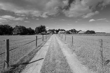 Landweg naar Niehove – tijdloze rust in zwart-wit van KB Design & Photography (Karen Brouwer)
