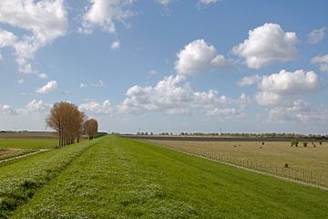 Hollands landschap von W J Kok