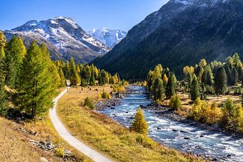 Herbst im Engadin