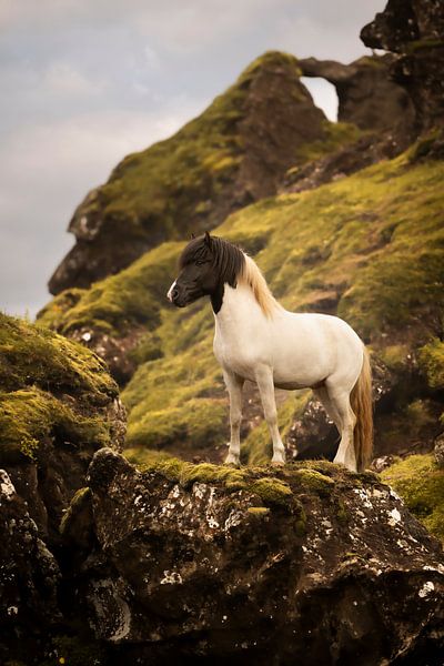 Force colorée dans l'Islande sauvage par Lieselotte Claesens