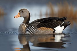 Gliding Goose by Vythryd Arts