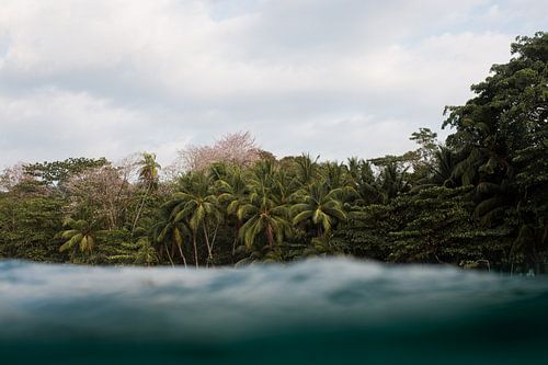 PAVONES by Melchior | Lifestyle Art Photography