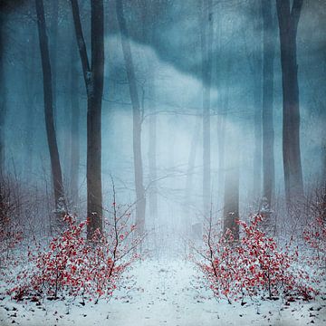 Mystiek nevelwoud in de winter van Dirk Wüstenhagen