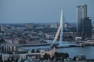 Pont Erasmus Rotterdam le soir