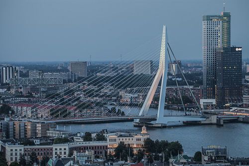 Erasmusbrug Rotterdam in de avond