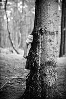 All about the tree
