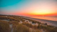 Zeeland dunes