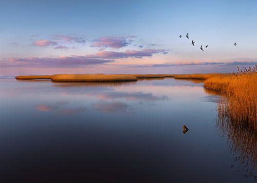 Farben des Nordens 3