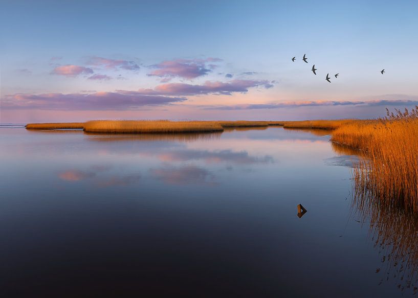 Colors of the North 3 by Maneschijn FOTO
