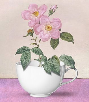 A Cup of Roses by Marja van den Hurk