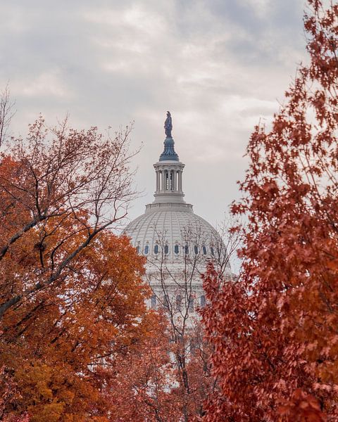 Washington DC by Hello Pompoyo