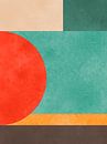 Kleuren in harmonie 5 van Vitor Costa thumbnail