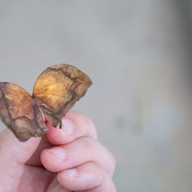 Twee herfstblaadjes, die samen lijken op een vlinder van Irene Cecile