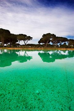 Algarve, Portugal van Paul Teixeira