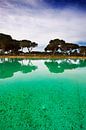 Algarve, Portugal van Paul Teixeira thumbnail