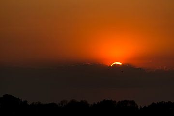 Sonnenuntergang im Vreugderijkerwaard von Erik Veldkamp