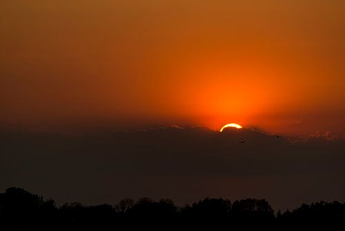 Sunset in the Vreugderijkerwaard
