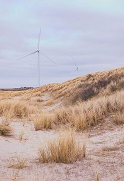 Zeelandse duinen van Ronn Perdok