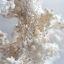 Gebleichte Biosphären von Olaf Kramer Miniaturansicht