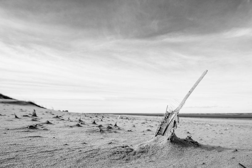 der Frühling am Strand von Hans de Waay