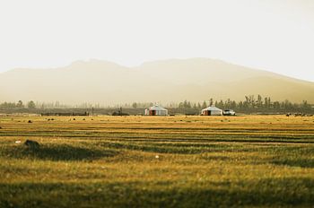 Mongolian yurts in Bat Ulzii, Mongolia