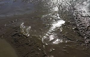 Marée basse &amp ; Marée haute