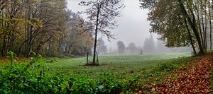 Landschaft im Nebel.