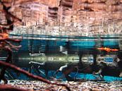 Onderwater von Fenneke Visscher Miniaturansicht