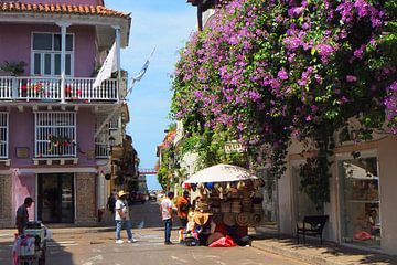 Flower splendour in Cartagena