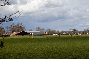 Boerderij