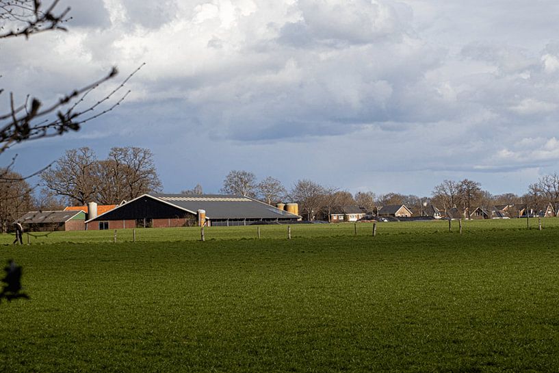 Farm by Melany Lampe
