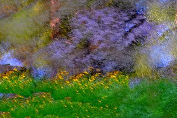 FRÜHLING 8 von Miroslav Ptacek