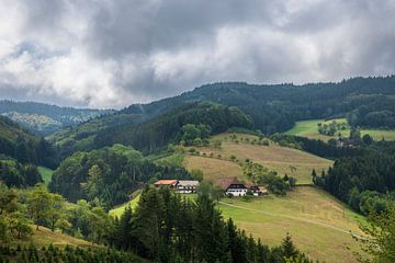 Boerderij in het heuvellandschap van het Zwarte Woud Duitsland