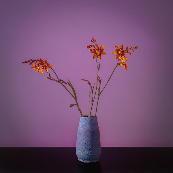 Oranje bloem van Matty Maas