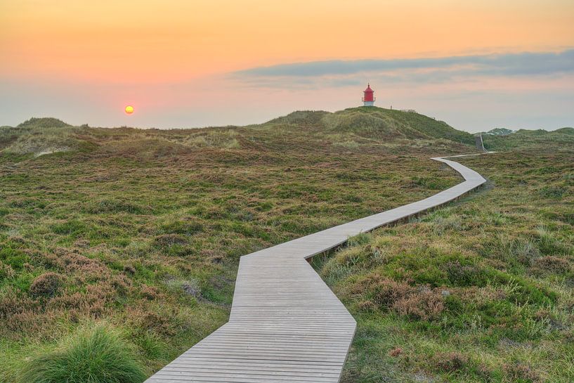 In den Dünen beim Quermarkenfeuer auf Amrum von Michael Valjak