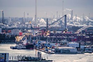 Rotterdamer Rauch