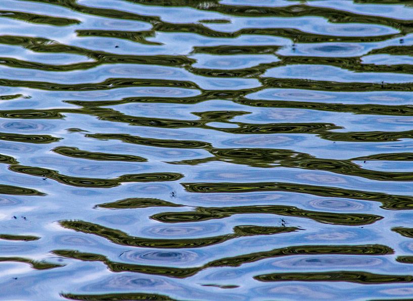 Golven in de vijver par Ilse Schoneveld