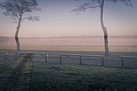 Ein nebliger Wintermorgen im Januar