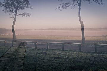 Een mistige winterochtend in Friesland van Grietje van der Reijnst