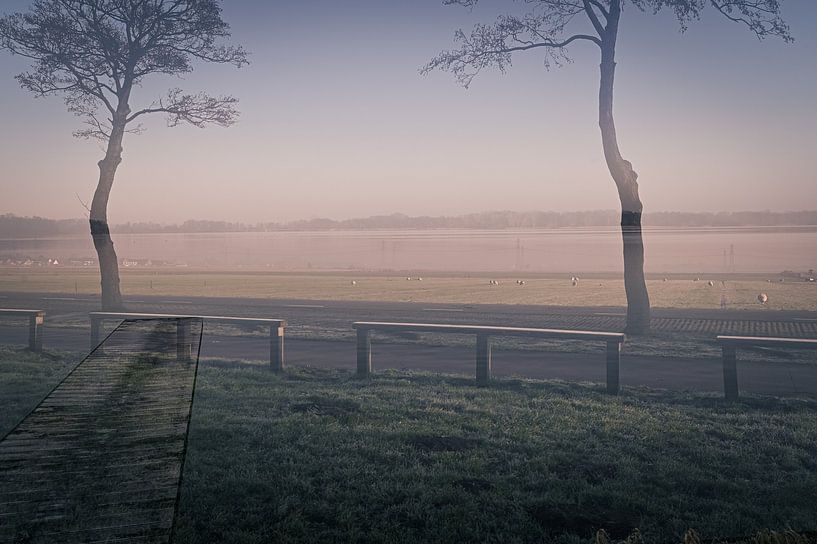 Ein nebliger Wintermorgen im Januar von Grietje van der Reijnst