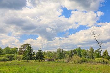 Lente in de Pfrunger-Burgweiler Ried bij Wilhelmsdorf
